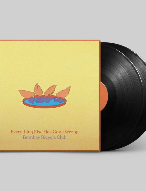 BOMBAY BICYCLE CLUB - EVERYTHING ELSE HAS Vinyl Record