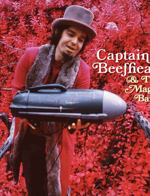 Captain Beefheart - Now Playing Vinyl Record