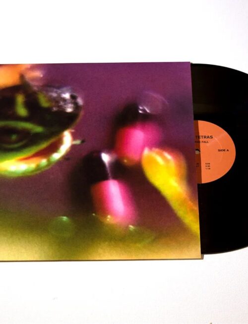 BUSH TETRAS - TAKE THE FALL Vinyl Record