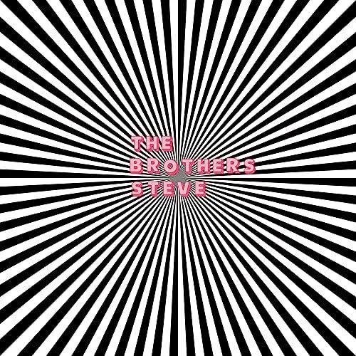 BROTHERS STEVE - #1 Vinyl Record