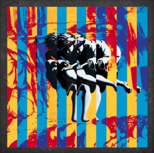 GUNS NROSES - USE YOUR ILLUSION (VINYL BOXSE Vinyl Record