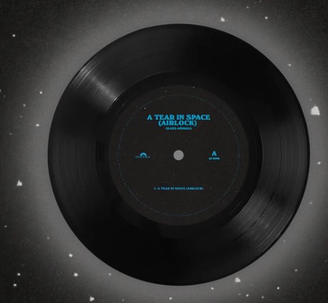 Glass Animals - A Tear in Space Vinyl Record