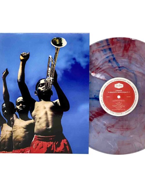 Common - A Beautiful Revolution Vinyl Record