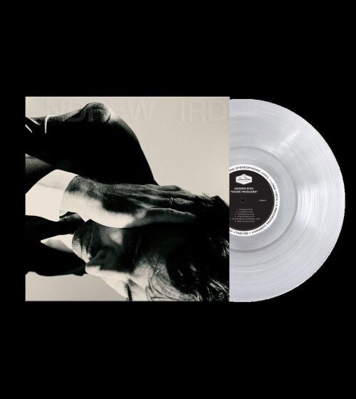 Andrew Bird - Inside Problems Vinyl Record