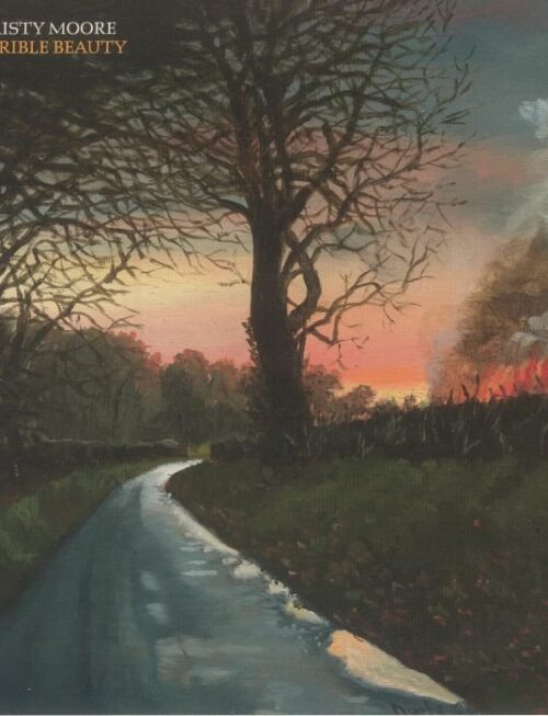 Christy Moore - A Terrible Beauty Vinyl Record