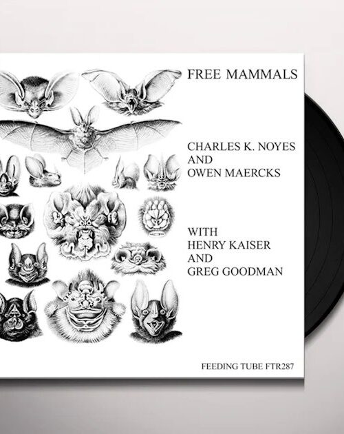 CHARLES K. NOYES & ORCHESTRA - Free Mammals Vinyl Record