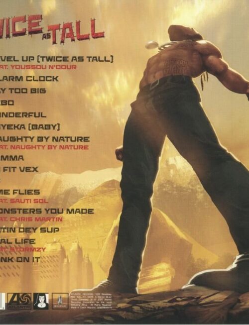 Burna Boy - Twice As Tall Vinyl Record