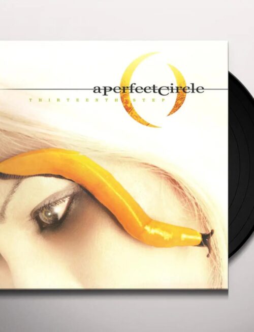 A PERFECT CIRCLE - Thirteenth Step Vinyl Record