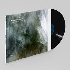 AVISHAI COHEN - BIG VICIOUS Vinyl Record