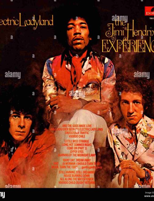 HENDRIX JIMI - ELECTRIC LADYLAND Vinyl Record