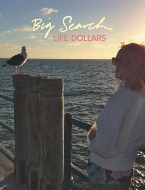 BIG SEARCH - Life Dollars Vinyl Record