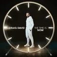 CRAIG DAVID - The Time Is Now Vinyl Record