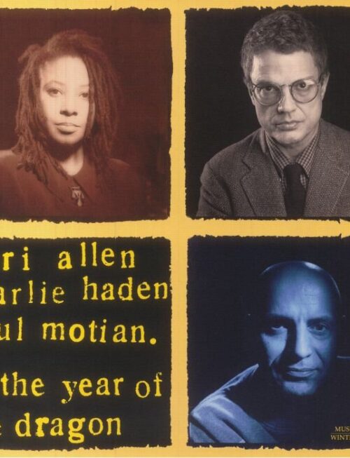 ALLEN/HADEN/MOTIAN - IN THE YEAR OF THE DRAGON Vinyl Record