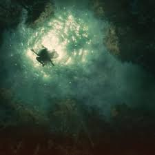 BRAIDS - Companion Vinyl Record