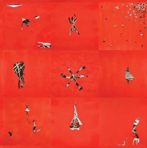 ANIMAL COLLECTIVE - HOLLINDAGAIN Vinyl Record