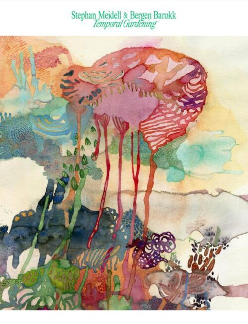 BERGEN BAROKK - TEMPORAL GARDENING Vinyl Record