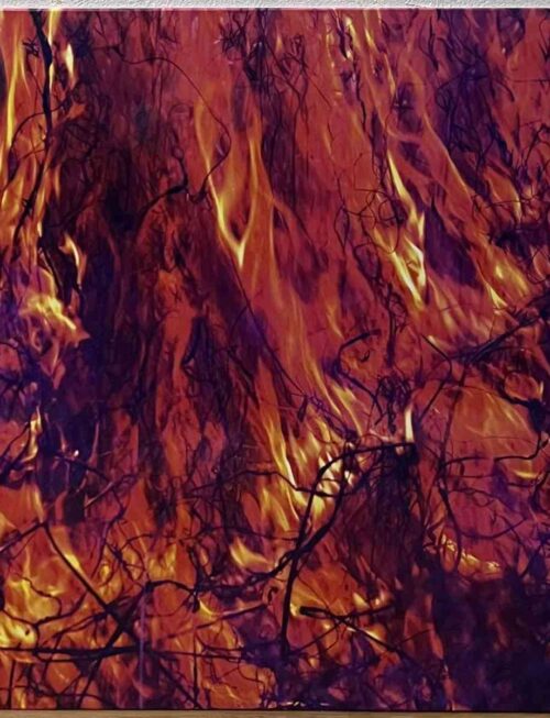 AS YOUNG AS YESTERDAY - KORALLREVEN Vinyl Record