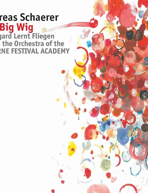 ANDREAS SCHAERER - THE BIG WIG Vinyl Record