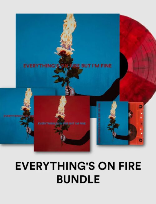 AS DECEMBER FALLS - Everythings On Fire But Im Fine Vinyl Record