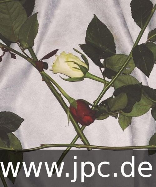 CHAIN OF FLOWERS - CADWYN O FLODAU (CLEAR VINYL EDITION) Vinyl Record