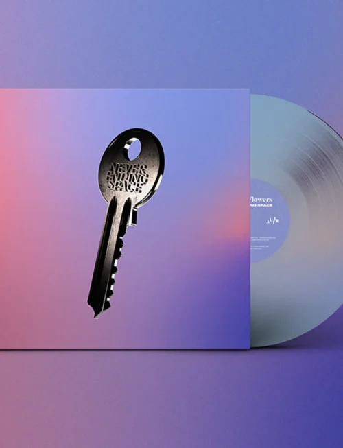 CHAIN OF FLOWERS - NEVER ENDING SPACE Vinyl Record