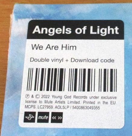 ANGELS OF LIGHT - WE ARE HIM Vinyl Record