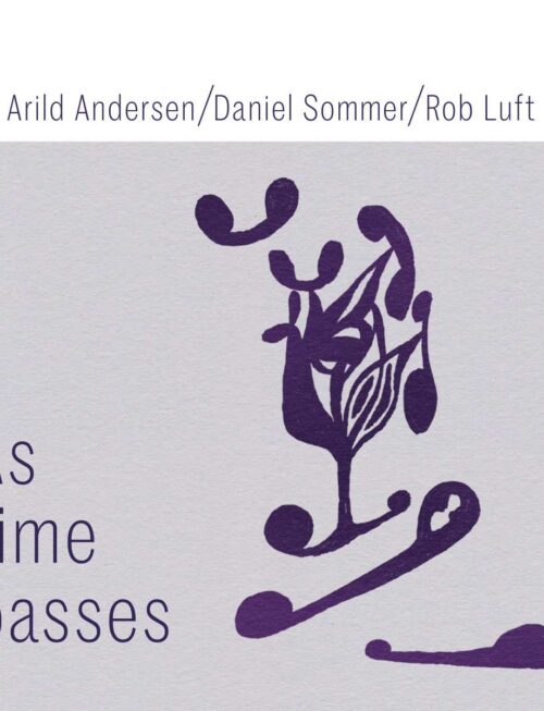 ANDERSEN ARILD /DANIEL SOMMER/ - AS TIME PASSES Vinyl Record