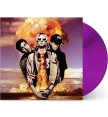 NIRVANA - Hollywood Rock Festival 1993 (Picture Disc) Vinyl Record