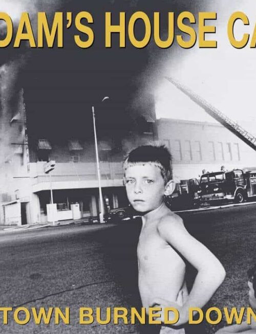 ADAM'S HOUSE CAT - WORLD BURNED DOWN Vinyl Record