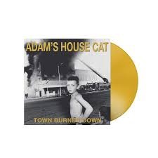 ADAMS HOUSE CAT - Town Burned Down Vinyl Record