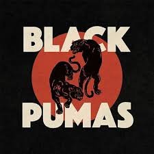 BLACK PUMAS - BLACK PUMAS Vinyl Record