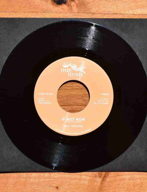 Anami & The Wareikers - N. Train / October Vinyl Record