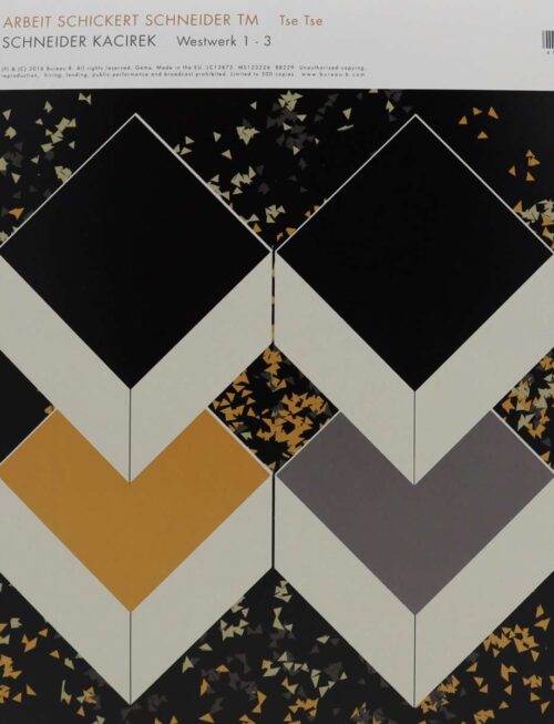 ARBEIT SCHICKERT SCHNEIDER - ASS Vinyl Record