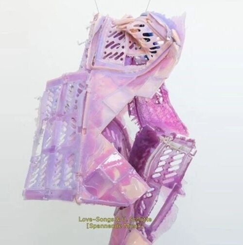 LOVE-SONGS - NICHT NICHT Vinyl Record