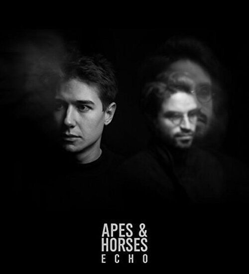 APES & HORSES - Echo 12In CD Vinyl Record