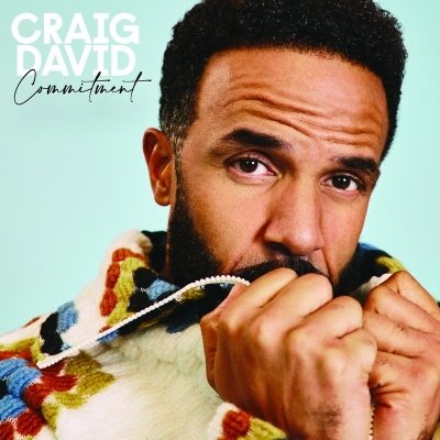CRAIG DAVID - Commitment Vinyl Record