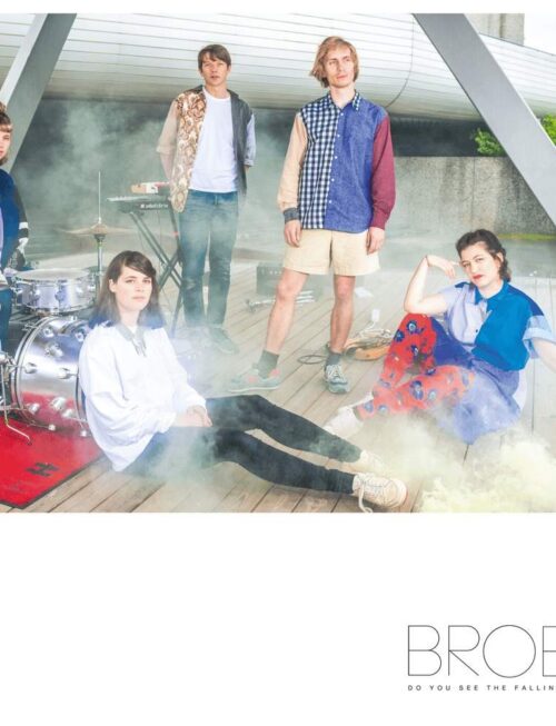 BROEN - Do You See The Falling Leaves? Vinyl Record