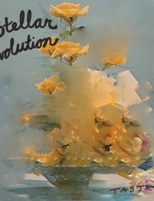 AARON LEE TASJAN - Stellar Evolution Vinyl Record