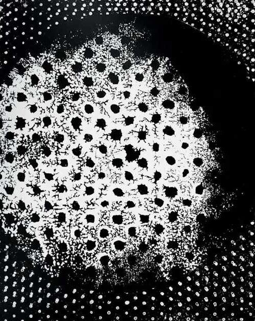 Biosphere - Patashnik [Reissue] Vinyl Record