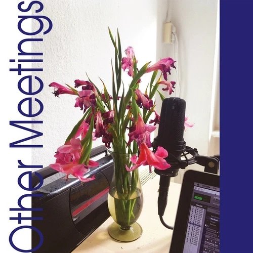 CRYS COLE - OTHER MEETINGS Vinyl Record