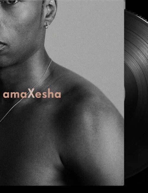 BONGEZIWE MABANDLA - AMAXESHA Vinyl Record