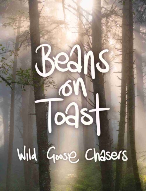 BEANS ON TOAST - WILD GOOSE CHASERS (PICTURE DISC) Vinyl Record