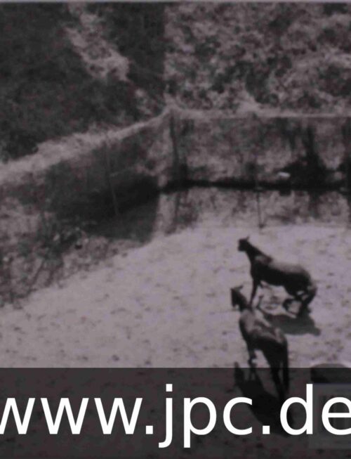 CENTER - OVER THE STATIONS Vinyl Record