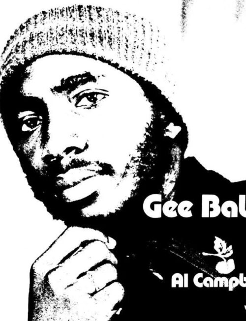 AL CAMPBELL - Gee Baby Vinyl Record