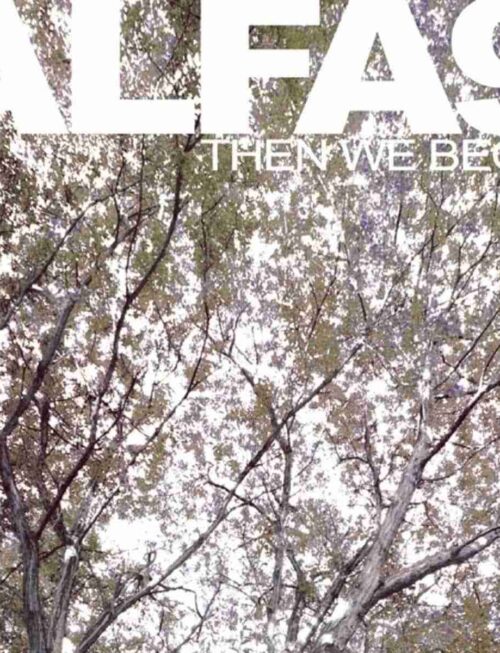 ALFA 9 - THEN WE BEGIN Vinyl Record