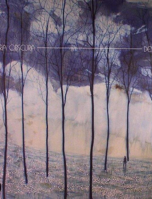 CAMERA OBSCURA - DESIRE LINES Vinyl Record