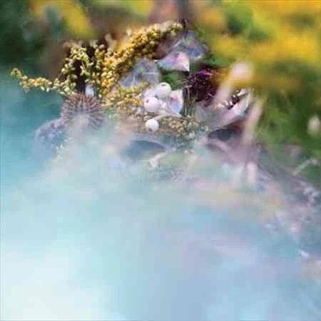 BEEDEEGEE - SUM/ONE Vinyl Record