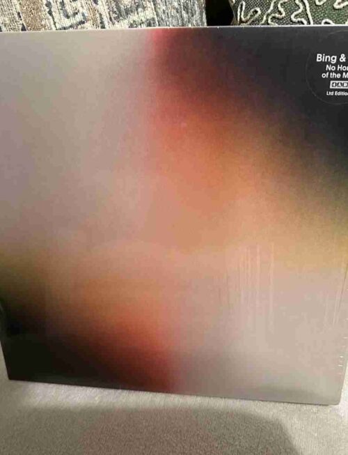 BING & RUTH - NO HOME OF THE MIND Vinyl Record