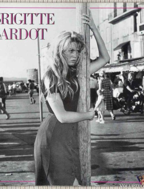 BRIGITTE BARDOT - Brigitte Vinyl Record