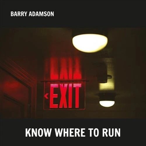 BARRY ADAMSON - KNOW WHERE TO RUN Vinyl Record